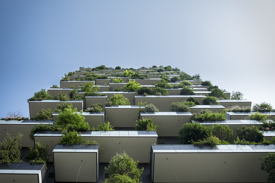 Rénovation de son logement