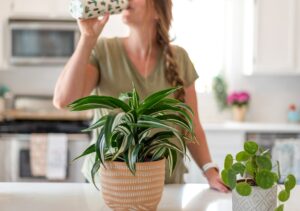 Young woman in the kitchen with healthy houseplants